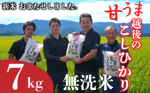 【令和6年産先行予約】無洗米 甘うま越後のこしひかり 7kg 越後 えちご 特別栽培米 新潟 コメ こめ お米 米 しんまい 新潟県 新潟米 新発田市 新発田産 10月発送 1482809 - 新潟県新発田市