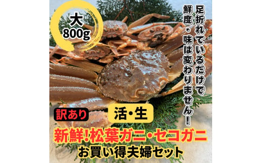 【訳あり】活！松葉ガニ・セコガニセット（大）鳥取網代港 岩美 松葉がに ズワイガニ かに カニ せこがに 親がに 日本海【さかなや新鮮組】【22020】 1113664 - 鳥取県岩美町