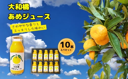 [限定販売 50箱 ] 大和橘あめジュース 10本入り ならBonbon 奈良県 奈良市 なら 16-003