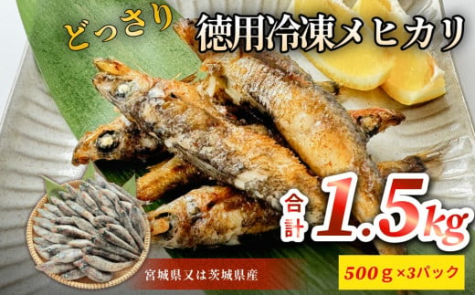 徳用冷凍メヒカリ（どっさり1.5kg）目光 魚 冷凍 唐揚げ 塩焼き 天ぷら お魚 おかず おつまみ 1477172 - 宮城県石巻市