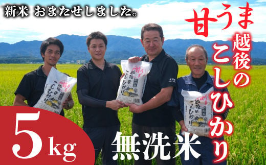 [先行予約]令和6年産 新米 無洗米 コシヒカリ 5kg 甘うま越後のこしひかり 越後 えちご 特別栽培米 新潟 コメ こめ お米 米 しんまい 新潟県 新潟米 新発田市 新発田産 10月発送