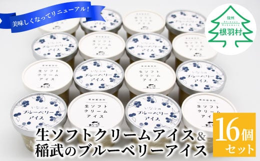 新しくなって新登場★！生ソフトクリーム＆いなぶのブルーベリーアイス (80ml)×16個セット 10000円 1477255 - 長野県根羽村