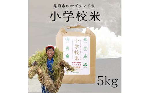 令和6年産【新潟県見附市の新ブランド米】小学校米　5kg 1467962 - 新潟県見附市