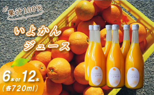 いよかんストレート果汁100%ジュース 720ml×6本/12本 | 数量選択可 果汁100% 無添加 伊予柑 ストレートジュース 数量選択可 | みかんジュース 果汁100% みかんジュース いよかん ストレート 100% ジュース 柑橘 果汁飲料 みかんジュース NPO法人農音 愛媛県 松山市 中島