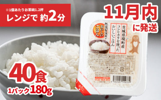 K1464B 【11月内発送】境町産こしひかり使用 低温製法米パックライス 180g×40個