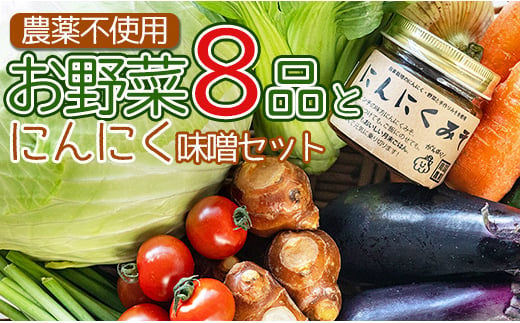 農薬不使用のお野菜8品とにんにく味噌のセット pr-0011 645193 - 高知県香南市