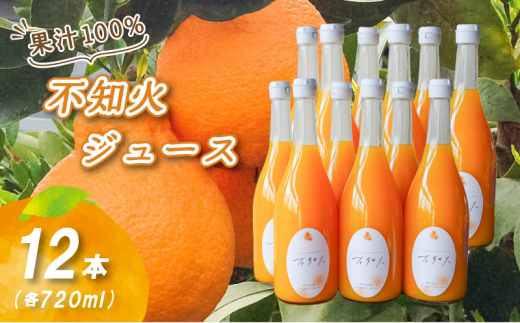 不知火ストレート果汁100％ジュース 720ml×12本 | 数量選択可 みかん ミカン 蜜柑 柑橘 数量限定 愛媛県産 松山市 中島 愛媛 ふるさと納税 1545095 - 愛媛県松山市