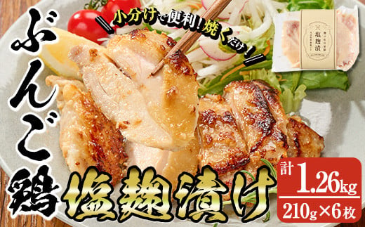 大分県産 ぶんご鶏の自家製塩麹漬け(計1.26kg・210g×6枚)国産 鶏肉 ステーキ タンパク質 簡単 調理 冷凍 大分県 佐伯市【AN109】【ぶんご銘醸 (株)】 1402622 - 大分県佐伯市