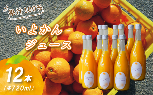 【予約販売】いよかんストレート果汁100％ジュース 720ml×12本 | 数量選択可 果汁100% 無添加 伊予柑 ストレートジュース 数量選択可 | みかんジュース 果汁100% みかんジュース いよかん ストレート 100% ジュース 柑橘 果汁飲料 みかんジュース NPO法人農音 愛媛県 松山市 中島