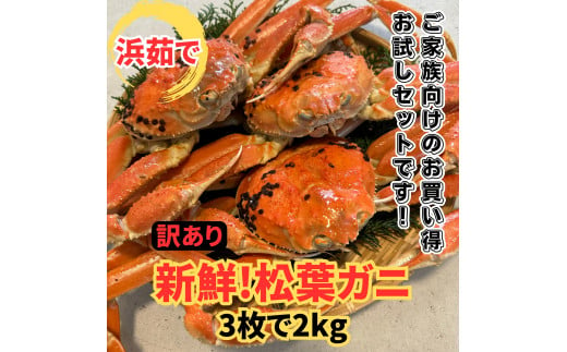 【訳あり】浜茹で！松葉ガニ2kgセット 鳥取網代港 岩美 松葉がに ずわいがに かに【さかなや新鮮組】【22017】 1155271 - 鳥取県岩美町