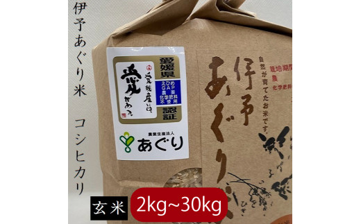 [新米][選べるキロ数]米 玄米 2〜30kg 伊予あぐり米「コシヒカリ」 令和6年産 米 農薬・化学肥料不使用 |米 玄米 令和6年産 米 お米 こめ 農薬・化学肥料不使用 こだわりのお米 愛媛県 松前町 松前 まさき 愛媛 えひめ おこめ 有限会社あぐり 愛媛県産米 松前町産米 美味しいお米 お米 贈答 贈り物 愛媛県 松前町 有限会社あぐり