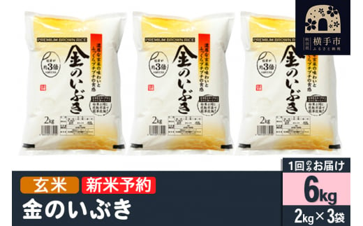 【令和6年産新米予約】【玄米】金のいぶき 6kg（2kg×3袋）新米予約 6キロ 1022796 - 秋田県横手市