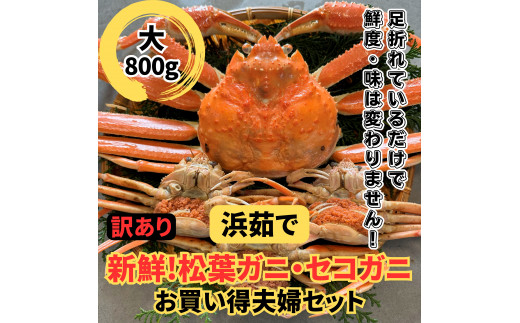 【訳あり】浜茹で！松葉ガニ・セコガニセット（大）鳥取網代港 岩美 松葉がに ずわいがに かに カニ  せこがに 親がに日本海【さかなや新鮮組】【22019】 1113663 - 鳥取県岩美町