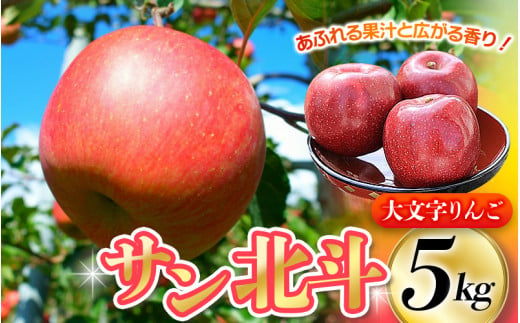 【令和6年度分予約受付】大文字りんご園 サン北斗 サン北斗 約5kg (18～20玉) 【2024年10月中旬頃より順次発送】/ 樹上完熟 りんご リンゴ 林檎 果物 くだもの フルーツ 甘い 旬 産地直送 予約 先行予約 1477548 - 岩手県平泉町