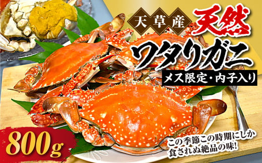 天草産 天然ワタリガニ メス限定内子入り 800g 2～3杯 渡り蟹 ワタリガニ カニ 蟹 天草名物 甲殻類 魚介 渡蟹 グルメ 冷凍 内子 内子入り 1466259 - 熊本県上天草市