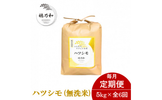 ＜毎月定期便＞岐阜県産ハツシモ(無洗米)5kg全6回【4056249】 1478385 - 岐阜県羽島市