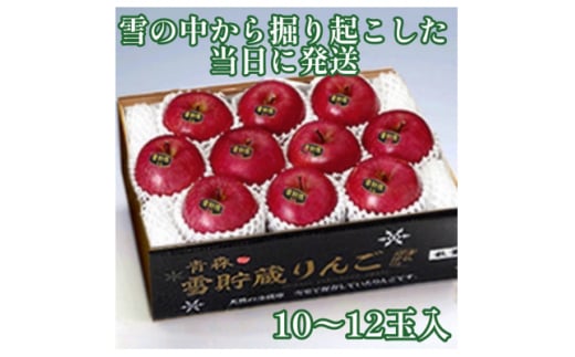 ＜2025年3月発＞希少なりんご!　青森雪貯蔵りんご(サンふじ)　3kg箱＜離島・沖縄配送不可＞【1423601】 998038 - 青森県青森市