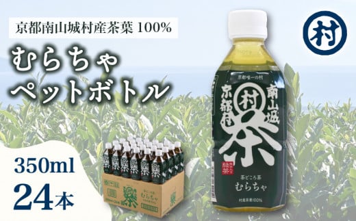 むらちゃPETボトル 350ml 24本 緑茶 ペットボトル 宇治抹茶 お茶 かぶせ茶 抹茶 飲料 飲み物 ドリンク 高級茶葉 美味しいお茶  お茶ペットボトル 水分補給 南山城村 京都府 1507636 - 京都府京都府庁