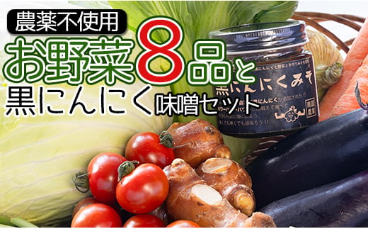 農薬不使用のお野菜8品と黒にんにく味噌のセット pr-0012 645194 - 高知県香南市