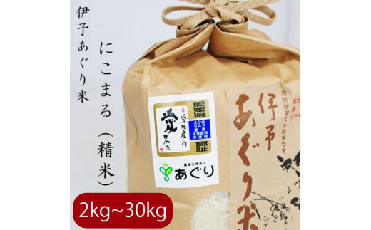 [新米][予約販売][選べるキロ数][2024年10月中旬〜下旬頃発送]米 精米 2kg 伊予あぐり米「にこまる」 令和6年産 米 農薬・化学肥料不使用 米 精米 令和6年産 米 お米 こめ 農薬・化学肥料不使用 こだわりのお米 愛媛県 松前町 松前 まさき 愛媛 えひめ おこめ 有限会社あぐり 愛媛県産米 松前町産米 美味しいお米 お米 贈答 贈り物 愛媛県 松前町 有限会社あぐり