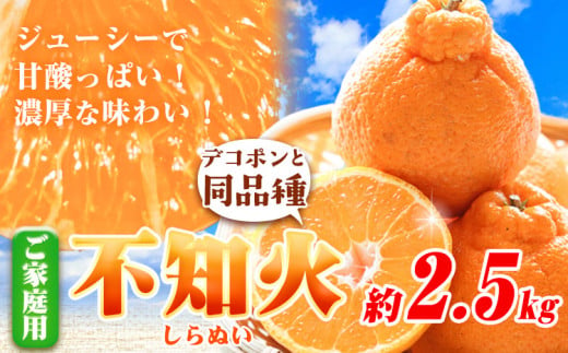 和歌山県日高町のふるさと納税 訳あり 不知火 【 デコポン と 同品種 】 みかん ご家庭用 2.5kg+75g(傷み補償分) 池田鹿蔵農園 @日高町 《2月上旬-3月末頃出荷》和歌山県 日高町 送料無料 しらぬい でこぽん 家庭用 訳あり 不知火 訳あり デコポン わけあり【配送不可地域あり】