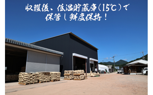 兵庫県丹波篠山市のふるさと納税 令和6年産 新米！　丹波篠山の大地で育まれたコシヒカリ　玄米30kg