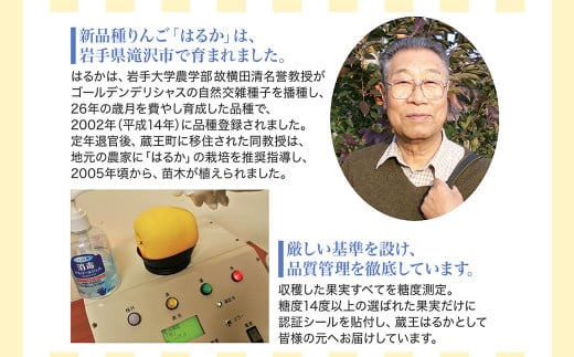 ギフト用りんご「蔵王はるか」エクセレント2kg 【04301-0725