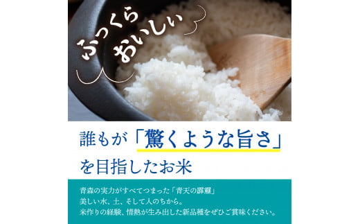 青森県五所川原市のふるさと納税 米 青天の霹靂 10㎏ 青森県産 【特A 8年連続取得】（精米・5kg×2袋）