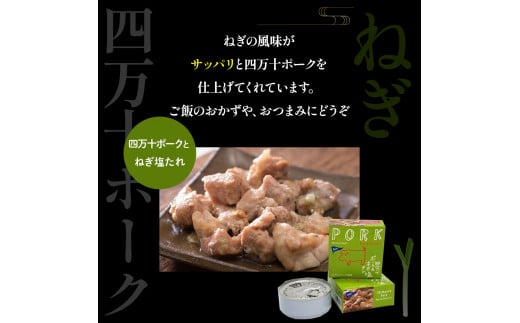 四万十ポークをごぼうの香り、黒糖の優しい甘味で仕上げた。ごぼう甘辛煮