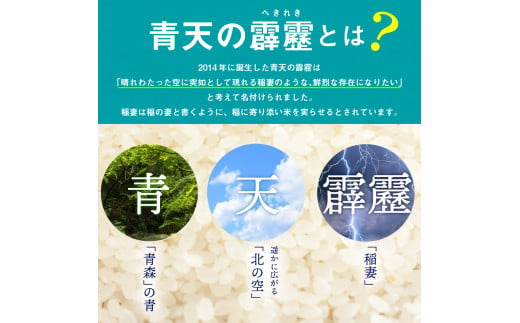 青森県五所川原市のふるさと納税 米 青天の霹靂 10㎏ 青森県産 【特A 8年連続取得】（精米・5kg×2袋）