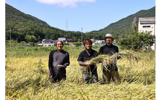 兵庫県丹波篠山市のふるさと納税 令和6年産 新米！　丹波篠山の大地で育まれたコシヒカリ　玄米30kg