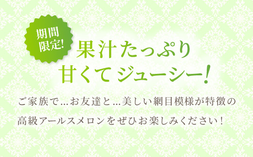 高級感たっぷりのアールスメロンです