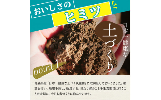 青森県五所川原市のふるさと納税 米 青天の霹靂 10㎏ 青森県産 【特A 8年連続取得】（精米・5kg×2袋）