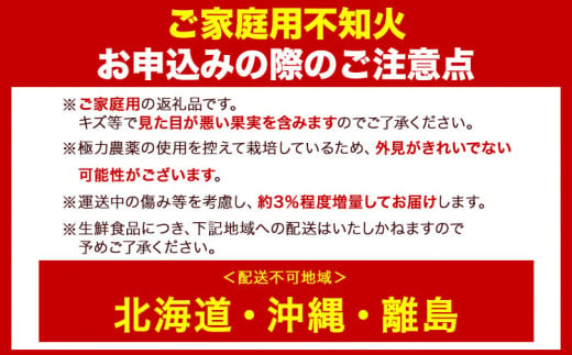 和歌山県日高町のふるさと納税 訳あり 不知火 【 デコポン と 同品種 】 みかん ご家庭用 2.5kg+75g(傷み補償分) 池田鹿蔵農園 @日高町 《2月上旬-3月末頃出荷》和歌山県 日高町 送料無料 しらぬい でこぽん 家庭用 訳あり 不知火 訳あり デコポン わけあり【配送不可地域あり】