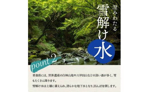 青森県五所川原市のふるさと納税 米 青天の霹靂 10㎏ 青森県産 【特A 8年連続取得】（精米・5kg×2袋）