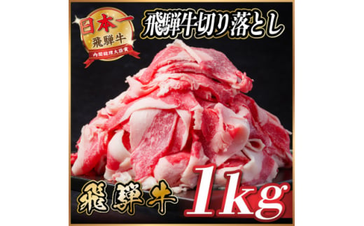 飛騨牛　切り落とし　約1kg(約500g×2パック)【1531513】 1422187 - 岐阜県羽島市