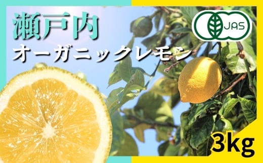 [12〜1月発送] 有機JAS認証 瀬戸内オーガニックレモン 3kg 国産 大崎上島 皮まで安心 瀬戸内レモン 有機栽培 有機 オーガニック フルーツ 果物 338500 - 広島県大崎上島町