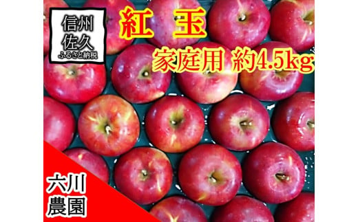 家庭用　紅玉　約4.5kg（1箱　18・20・23・25・28玉入り）　りんご　リンゴ　フルーツ　果物〈出荷時期2024年10月15日～10月31日〉【 当園にて愛情たっぷりに育てたりんご 長野県 佐久市 】 1475916 - 長野県佐久市