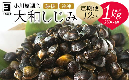 【 12ヵ月定期便 】砂抜き済みで手間いらず！冷凍・小川原湖産大和しじみ1kg（250g×4袋）　【02408-0091】 1564985 - 青森県東北町