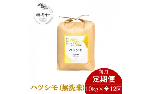 ＜毎月定期便＞岐阜県産ハツシモ(無洗米)10kg全12回【4056082】