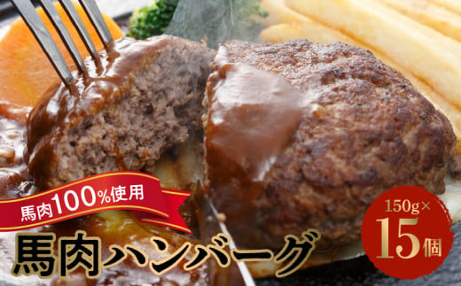 89-128　馬肉ハンバーグ150g×15個 960103 - 熊本県宇土市