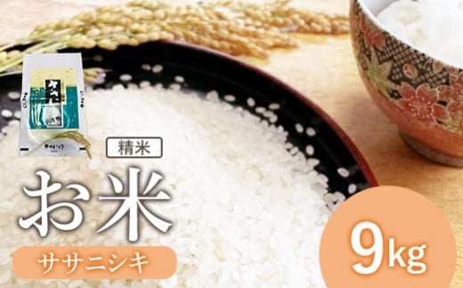 『令和6年産』宮城県白石産 ササニシキ精米 9kg 9キロ ９キロ ９ｋｇ お米 米 定期 ササニシキ 白米 精米 宮城米 ふるさと納税 宮城県 白石市 白石【1215401】 689292 - 宮城県白石市