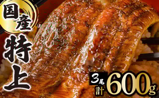 ≪2025年12配送≫【数量限定】『国産』うなぎ蒲焼 3尾 計600g