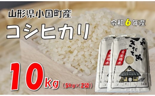 【令和6年産】コシヒカリ10kg（5kg×2袋）　 1212013 - 山形県小国町