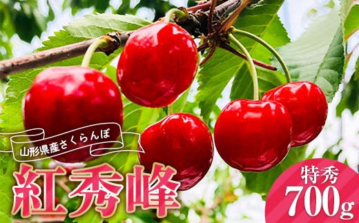 《2025年産先行受付》山形県産さくらんぼ 【紅秀峰 特秀品】700g 2Lサイズ以上 FSY-0013 286988 - 山形県山形県庁