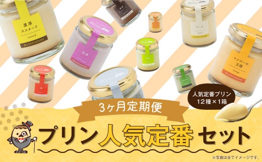 【3回定期便】 浜んまちPUDDING プリンづくし 12種類 詰め合わせ （通常紙箱） スイーツ お菓子 おやつ 1411845 - 長崎県時津町