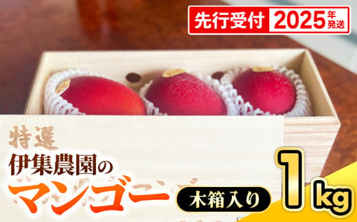 沖縄県八重瀬町のふるさと納税 お礼の品ランキング【ふるさとチョイス】