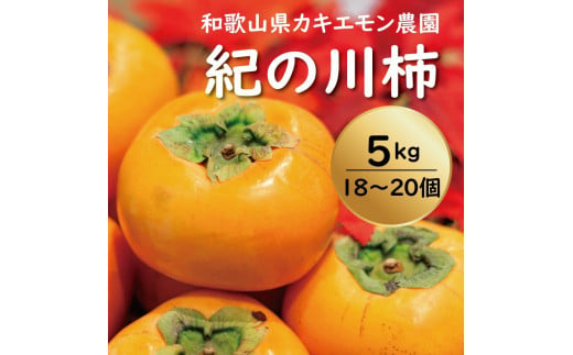 カキエモン農園の紀の川柿 約5kg 18 ～ 20個【9月下旬～11月末頃発送】 1479365 - 和歌山県かつらぎ町