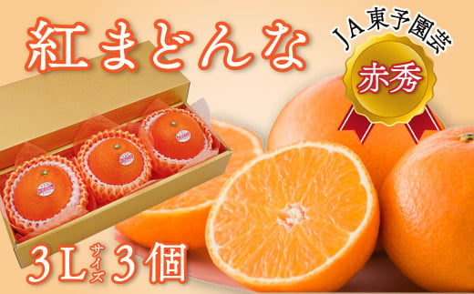 【先行予約】 紅まどんな ＜赤秀＞ 3Lサイズ３個入り（JA東予園芸）　※2024年11月下旬～12月下旬頃発送　紅まどんな 柑橘 愛媛県オリジナル品種 341974 - 愛媛県西条市