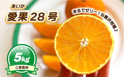 【12月上旬～1月初旬頃発送予定】 ご家庭用 愛果28号 5kg | あいか ご家庭用 みかん 数量限定 みかん 愛媛県産 みかん 愛果28号 松山市 みかん 愛果28号 みかん 蜜柑 愛果28号 ミカン みかん 旬 愛果28号